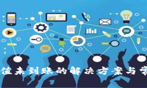 tpWallet充值未到账的解决方案与常见问题解析