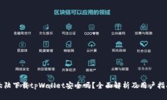 大陆下载tpWallet安全吗？全面解析及用户指南