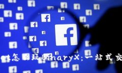 tpWallet怎么玩BinaryX：一站式交易指南