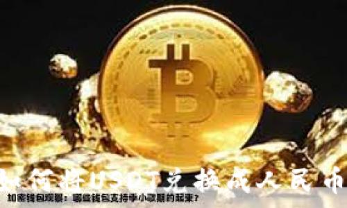  
tpWallet如何将USDT兑换成人民币：全面指南