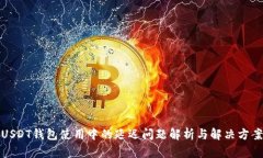 USDT钱包使用中的延迟问题解析与解决方案