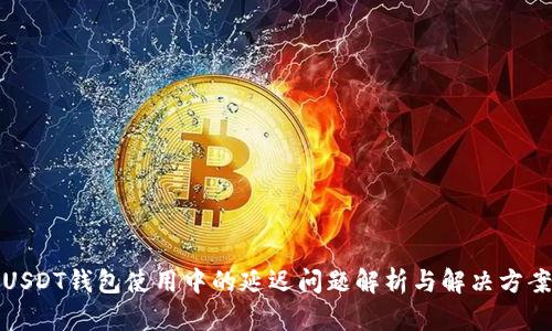 USDT钱包使用中的延迟问题解析与解决方案