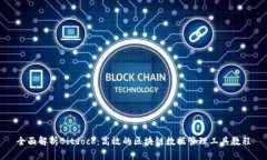 全面解析Bitdock：高效的区块链数据管理工具教程