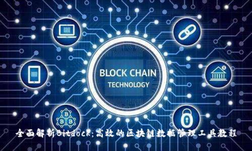 全面解析Bitdock：高效的区块链数据管理工具教程