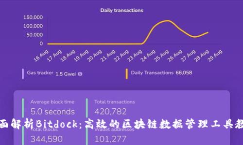 全面解析Bitdock：高效的区块链数据管理工具教程