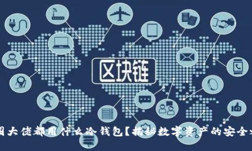 币圈大佬都用什么冷钱包？揭秘数字资产的安全之道