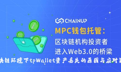 区块链环境下tpWallet资产丢失的原因与应对策略