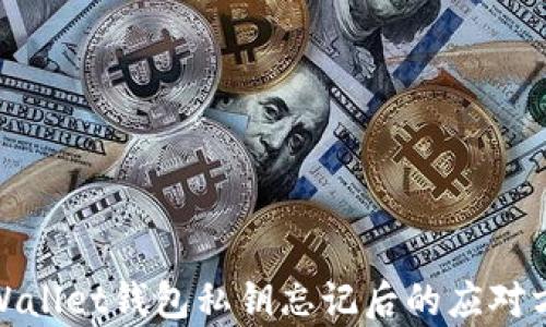 
tpWallet钱包私钥忘记后的应对方案