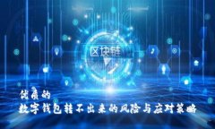 优质的  数字钱包转不出来的风险与应对策略