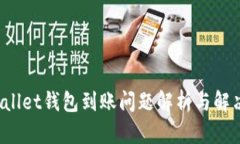 tpWallet钱包到账问题解析与解决方案