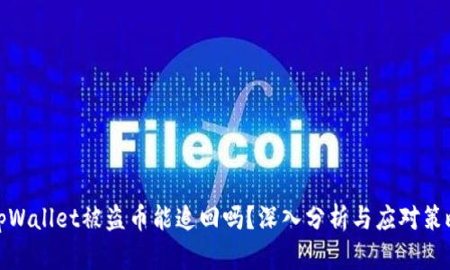 tpWallet被盗币能追回吗？深入分析与应对策略