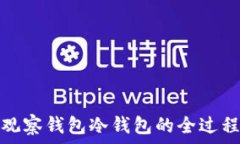   观察钱包冷钱包的全过程