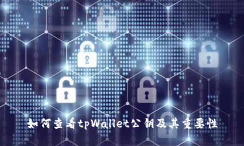 如何查看tpWallet公钥及其重要性