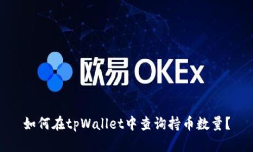 如何在tpWallet中查询持币数量？