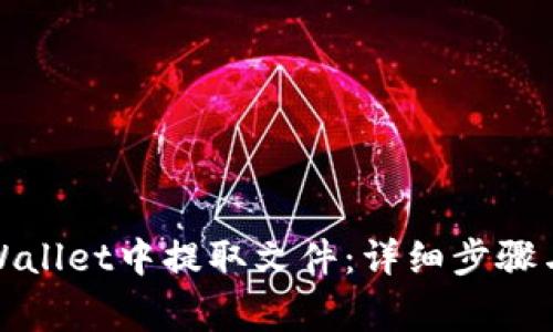 如何在tpWallet中提取文件：详细步骤与注意事项