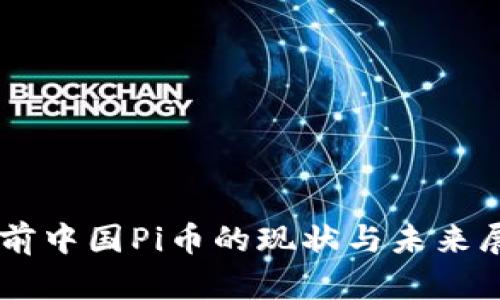 当前中国Pi币的现状与未来展望