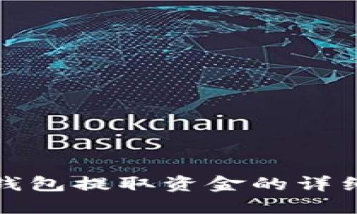 数字钱包提取资金的详细指南