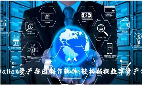 tpWallet资产截图制作软件：轻松捕捉数字资产信息