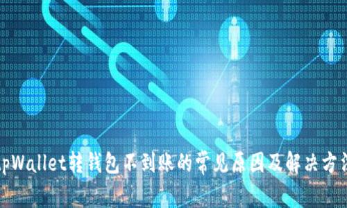 tpWallet转钱包不到账的常见原因及解决方法