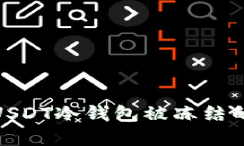 : 解读USDT冷钱包被冻结的可能性