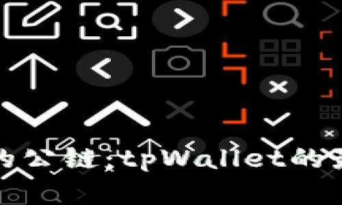 选择最适合的公链：tpWallet的最佳选择指南