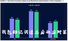 冷钱包助记词遗忘后的应对策略