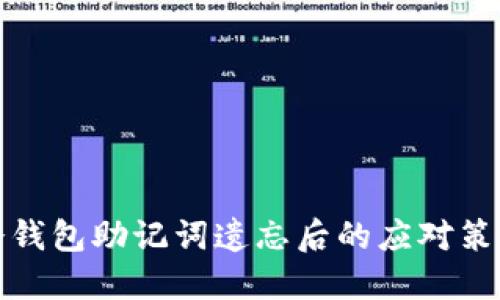 冷钱包助记词遗忘后的应对策略