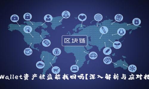 tpWallet资产被盗能找回吗？深入解析与应对措施