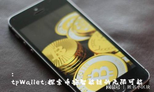 :
tpWallet：探索币安智能链的无限可能