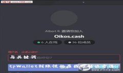 与关键词tpWallet到账慢的原因及解决方法