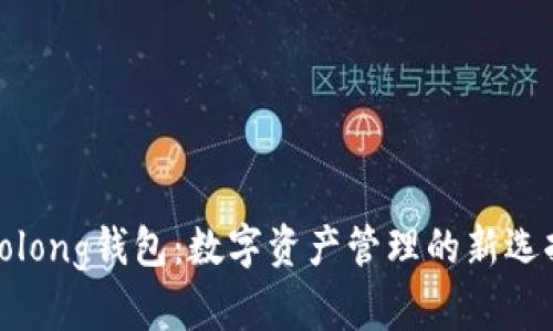Solong钱包：数字资产管理的新选择