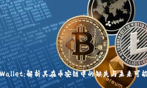 tpWallet：解析其在币安链中的缺失与未来可能性