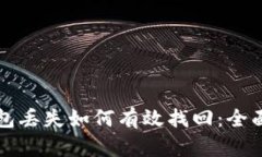 冷钱包丢失如何有效找回：全面指南