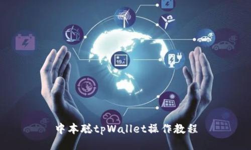 中本聪tpWallet操作教程