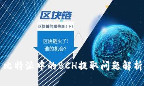 比特派中的BCH提取问题解析