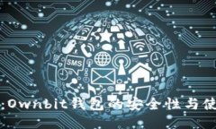 冷钱包：Ownbit钱包的安全性与使用指南