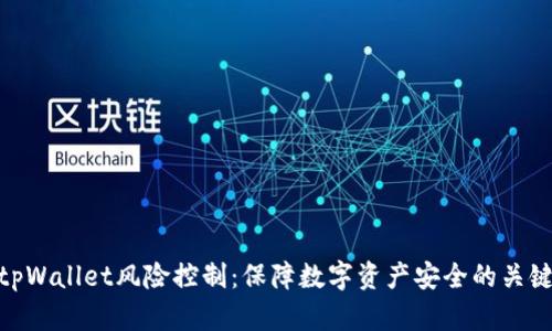 tpWallet风险控制：保障数字资产安全的关键
