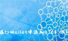 如何在tpWallet中添加BTCS：详细指南