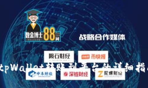 tpWallet转账到平台的详细指南