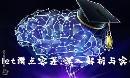 tpWallet滑点容差：深入解析与实战应用