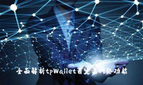全面解析tpWallet自定义网络功能