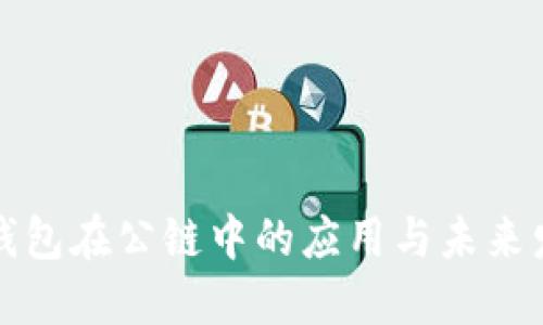 冷钱包在公链中的应用与未来发展
