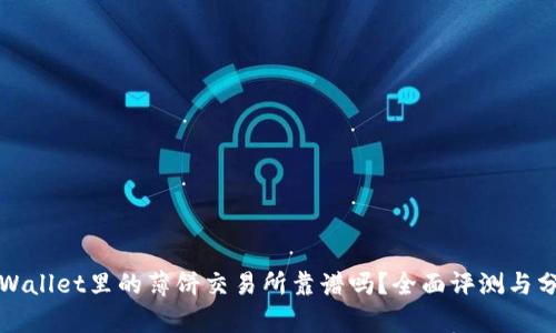 tpWallet里的薄饼交易所靠谱吗？全面评测与分析