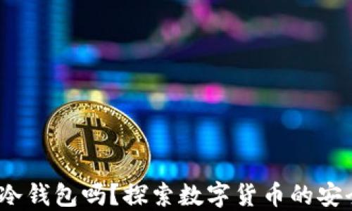 
假U能进冷钱包吗？探索数字货币的安全与风险