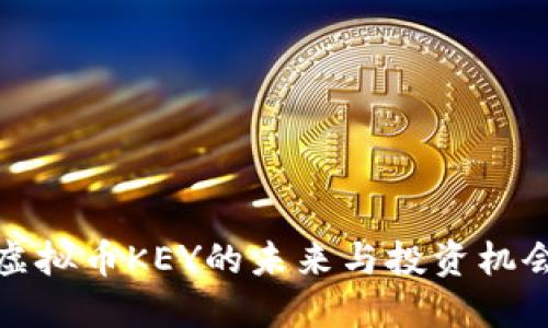 虚拟币KEY的未来与投资机会