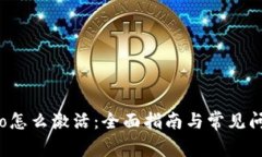 波宝Pro怎么激活：全面指南与常见问题解答