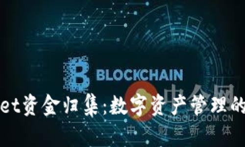 tpWallet资金归集：数字资产管理的新方式